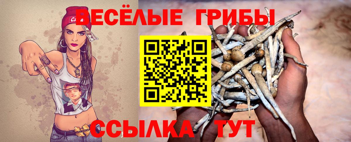 Галлюциногенные грибы Psilocybine cubensis Семилуки