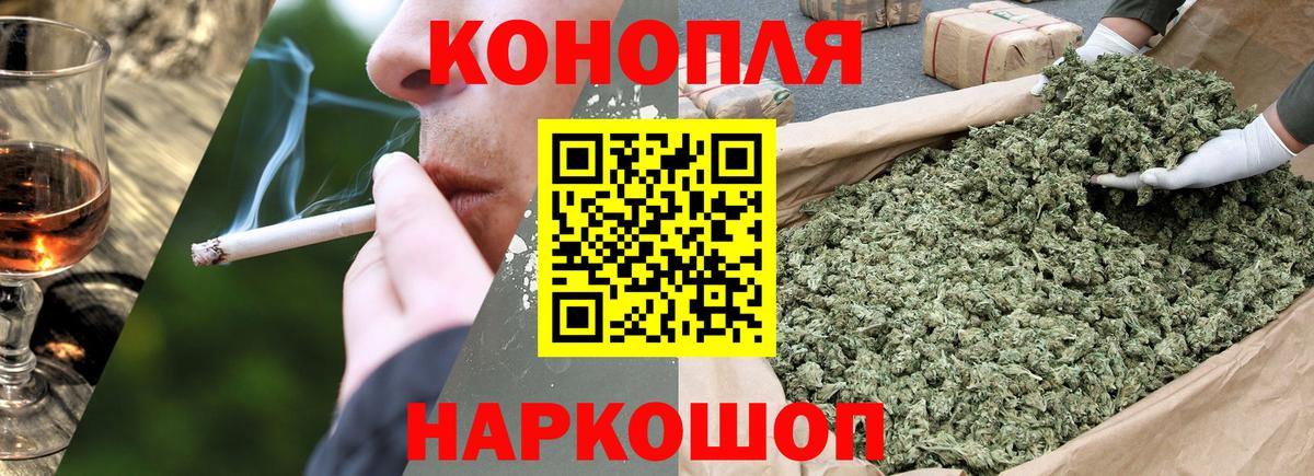 МЕФ Семилуки